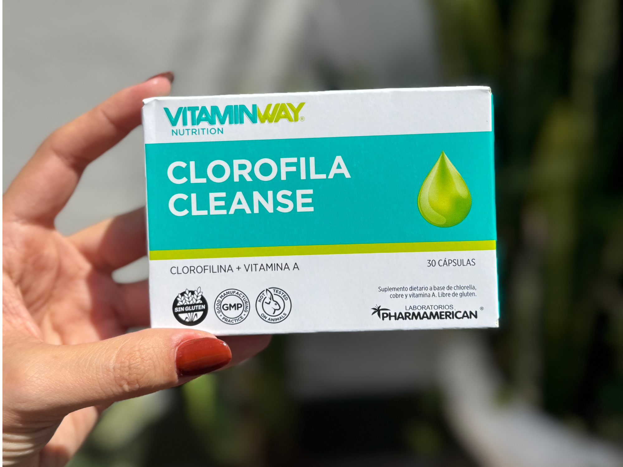 Clorofila x30 capsulas - Vitaminway