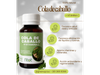 Cola de caballo 60ml - Fitot