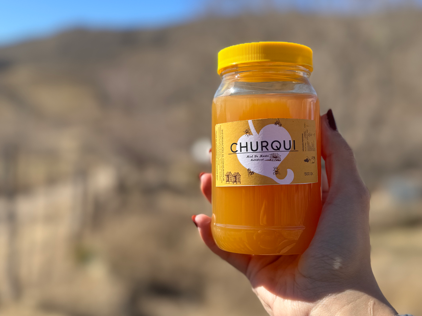 Miel pura de abejas Churqui 500g
