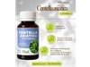 Centella asiatica 60ml - Fitot
