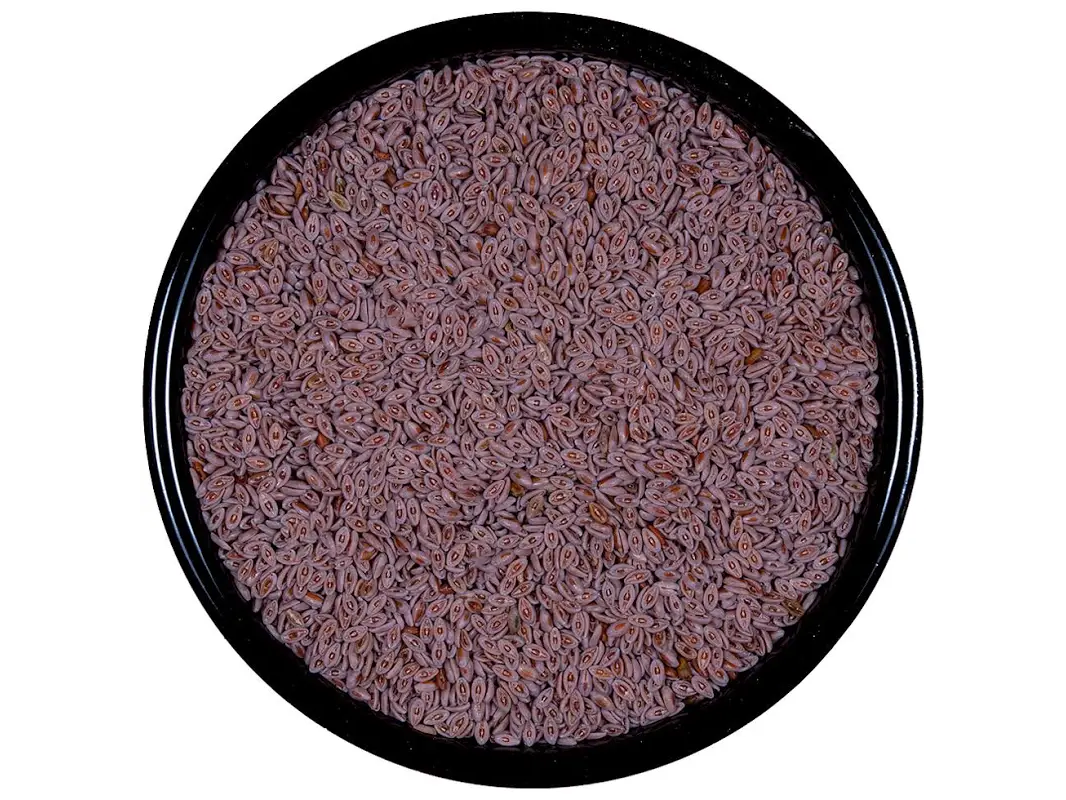 Psyllium 100g