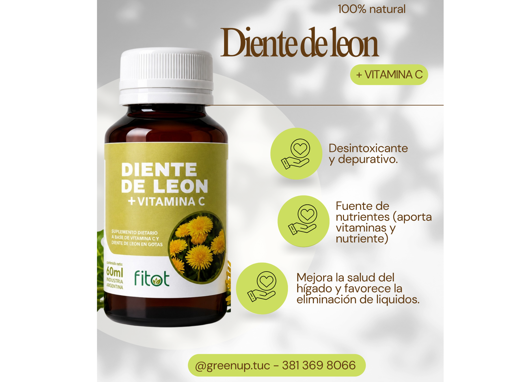 Diente de leon 60ml - Fitot
