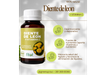 Diente de leon 60ml - Fitot