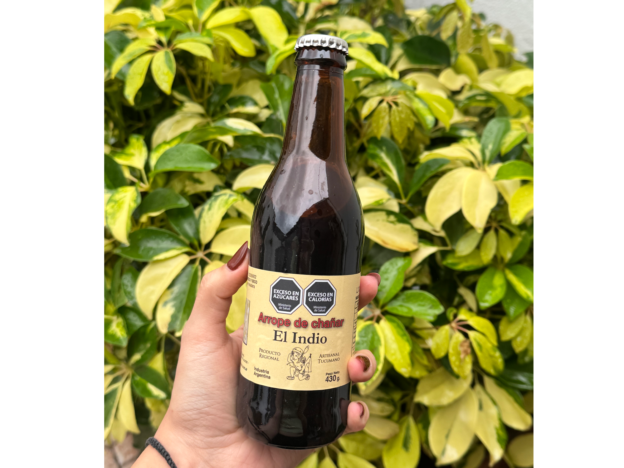 Arrope de chañar 430ml
