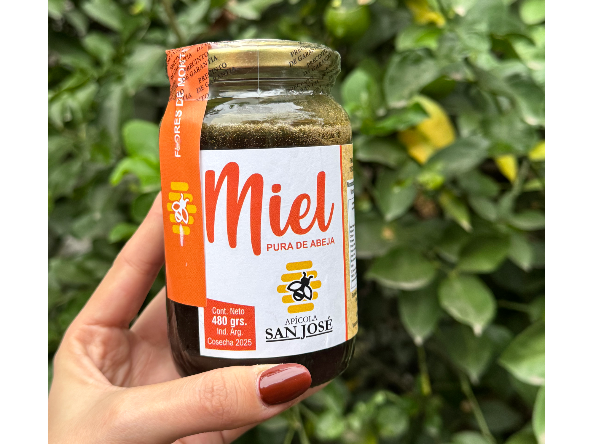 Miel pura de abejas San Jose 480g