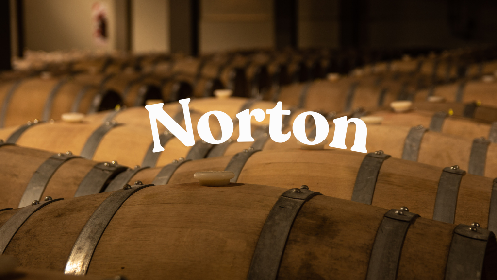 Norton