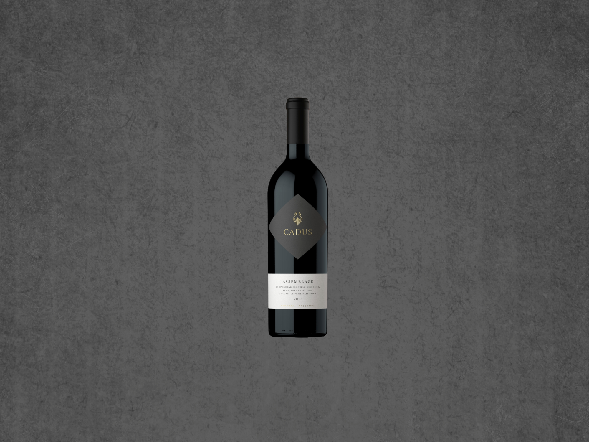 Cadus Assemblage 2019