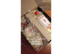 Gin + Copa + Botanicos