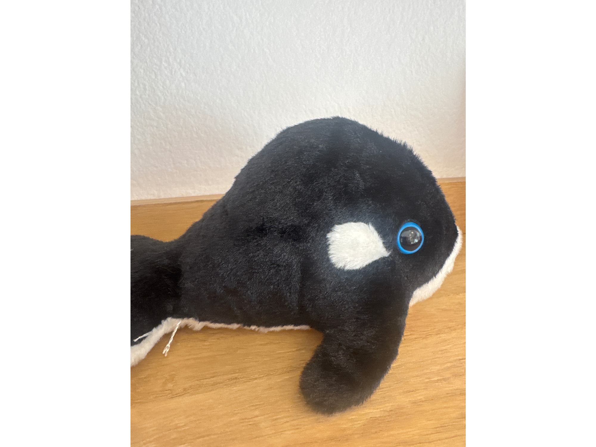 Orca