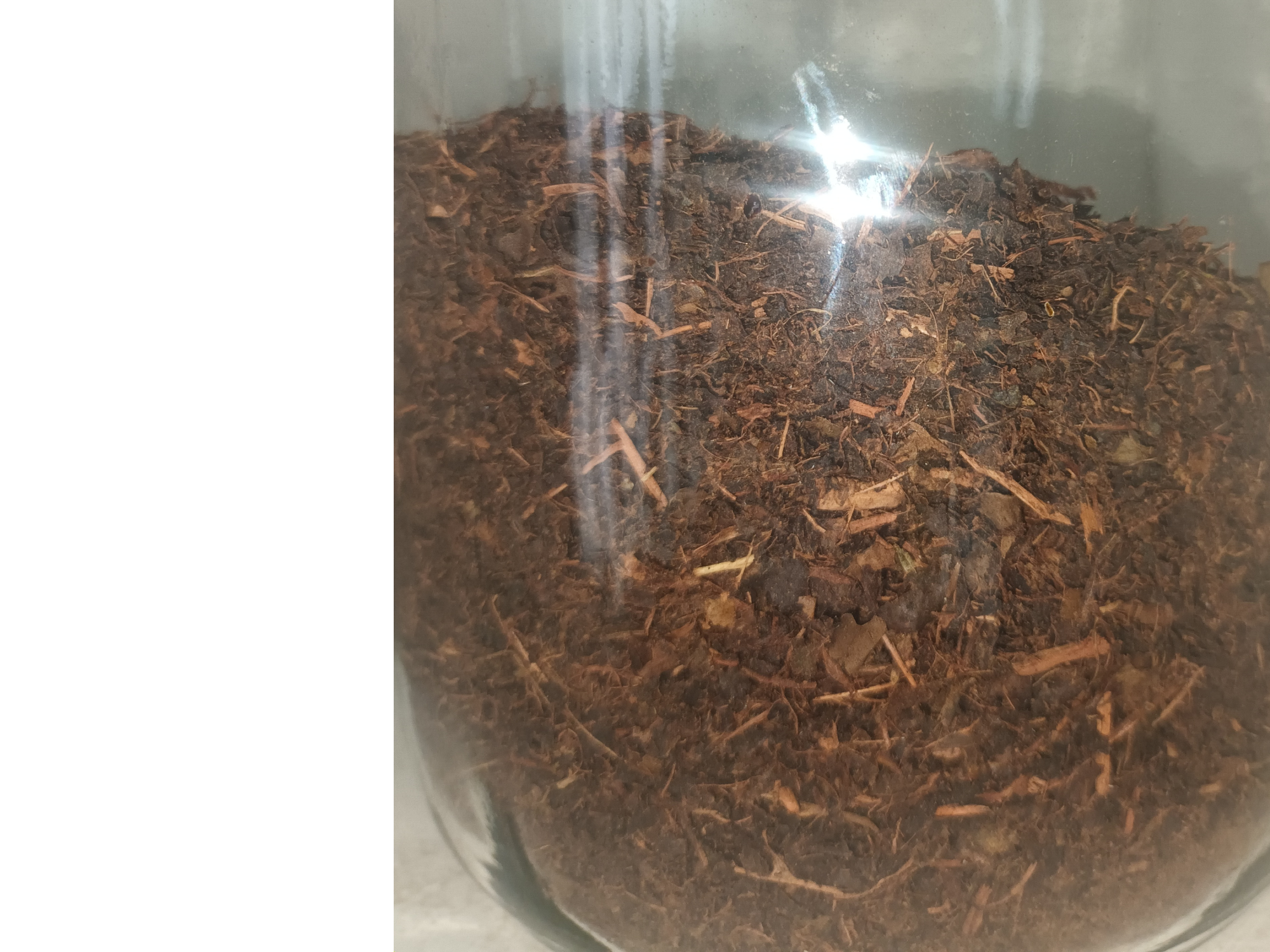 Té rojo