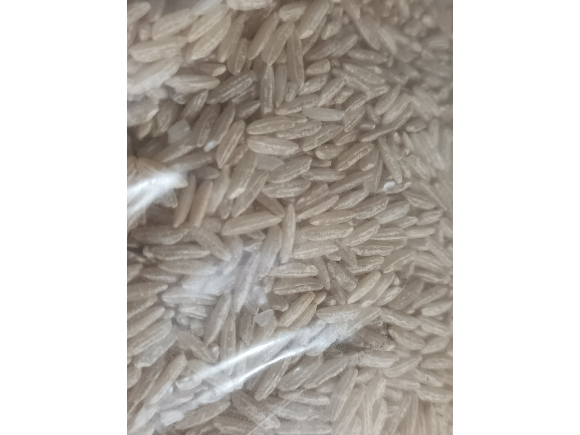 Arroz integral