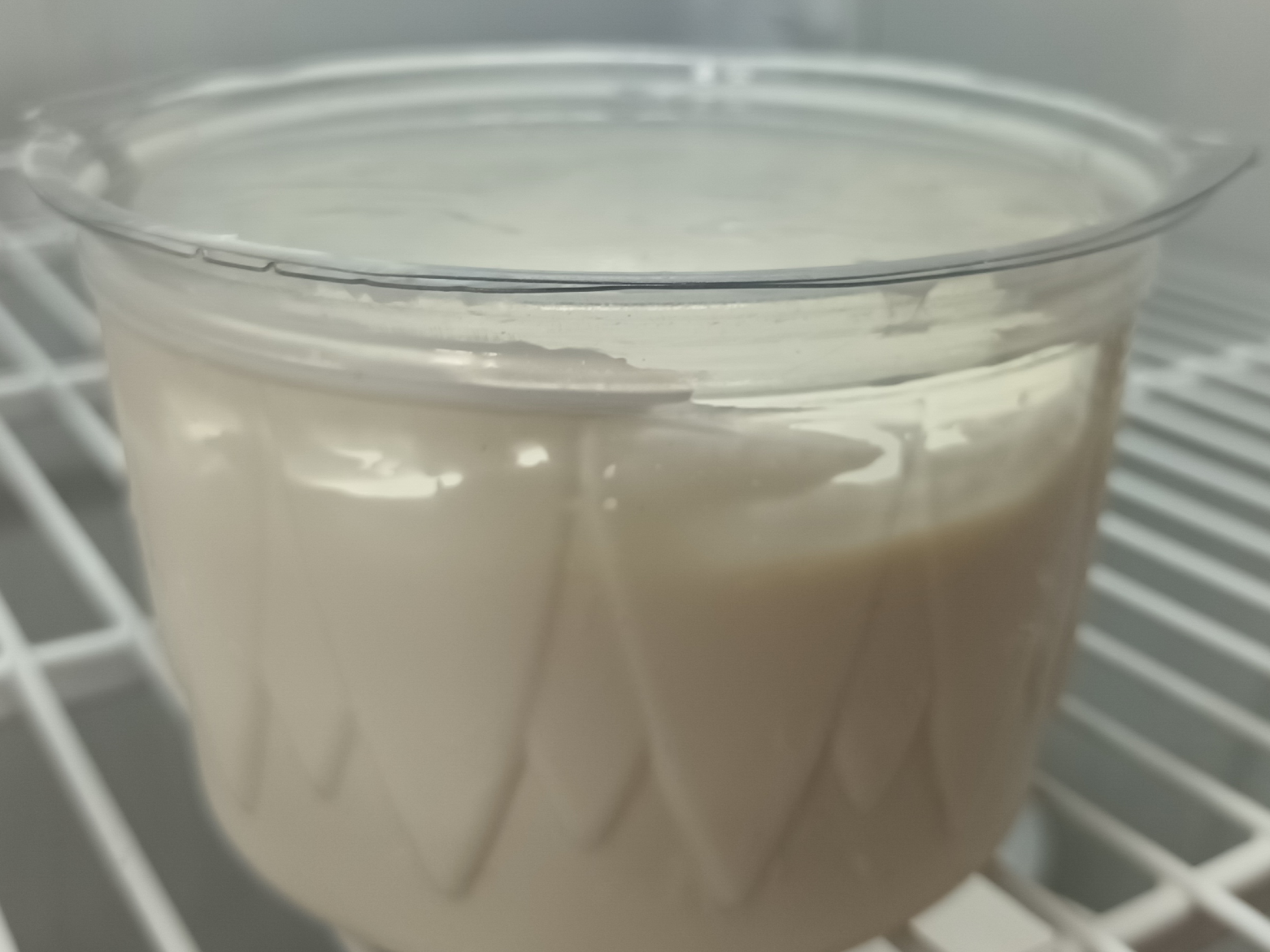 Yogurt griego