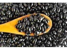 POROTO NEGRO