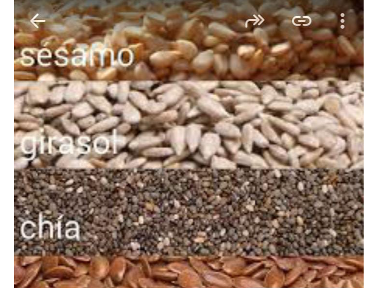 MIX SEMILLAS