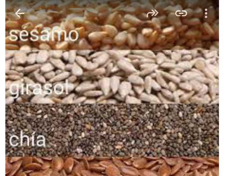 MIX DE SEMILLAS