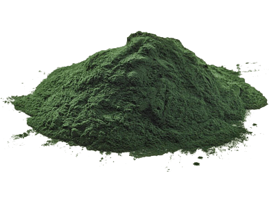Espirulina PREMIUM (en polvo)
