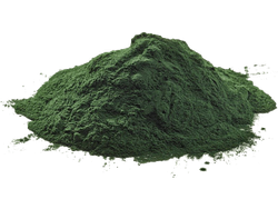 Espirulina PREMIUM (en polvo)