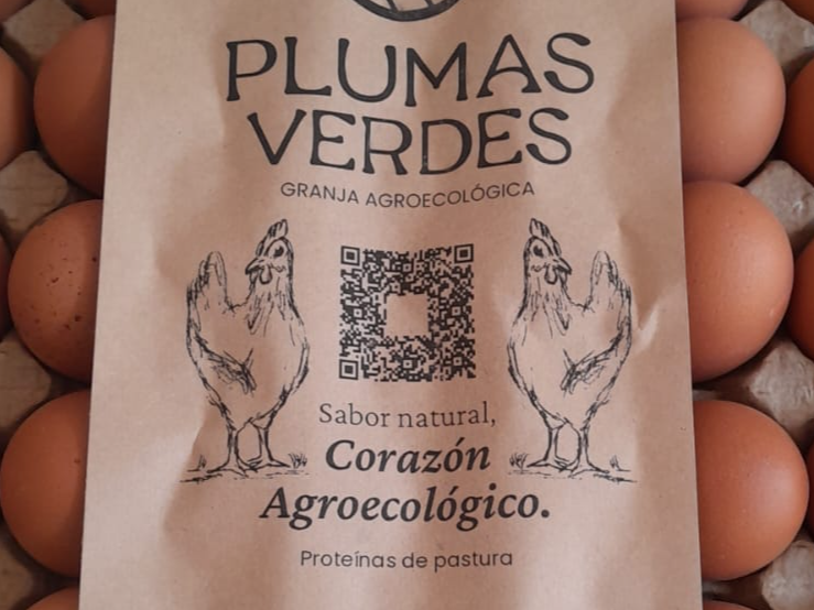 Huevos de campo agroecológicos "Plumas Verdes"