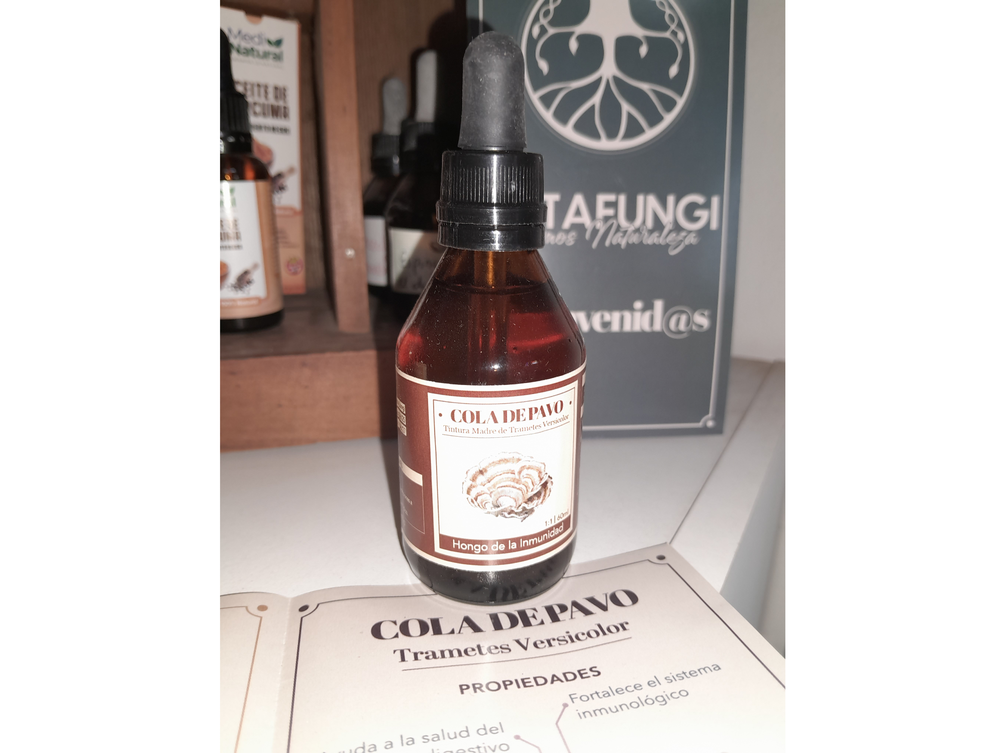 Cola de Pavo (Trametes Versicolor)