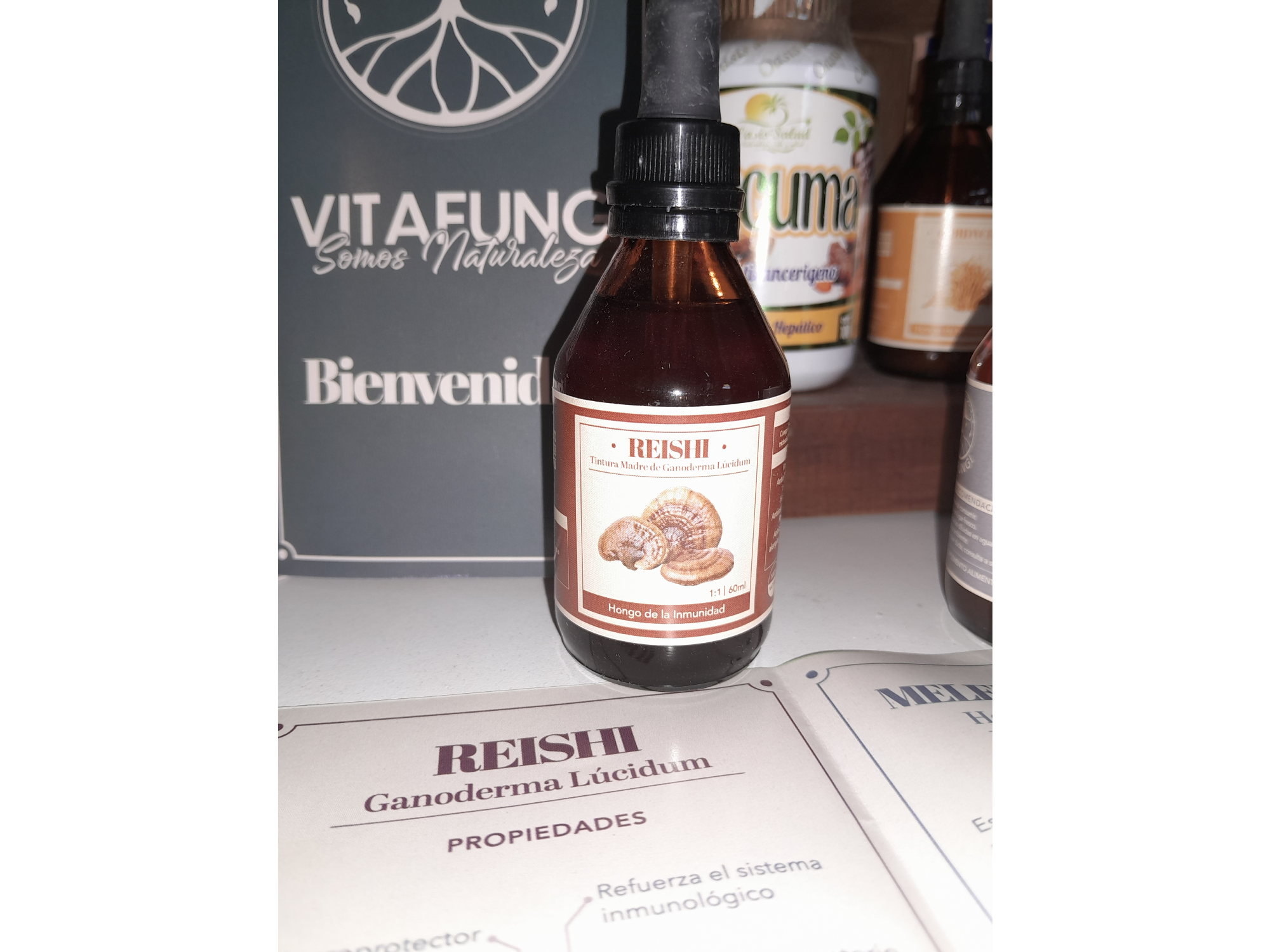 Reishi (Ganoderma Lúcidum)