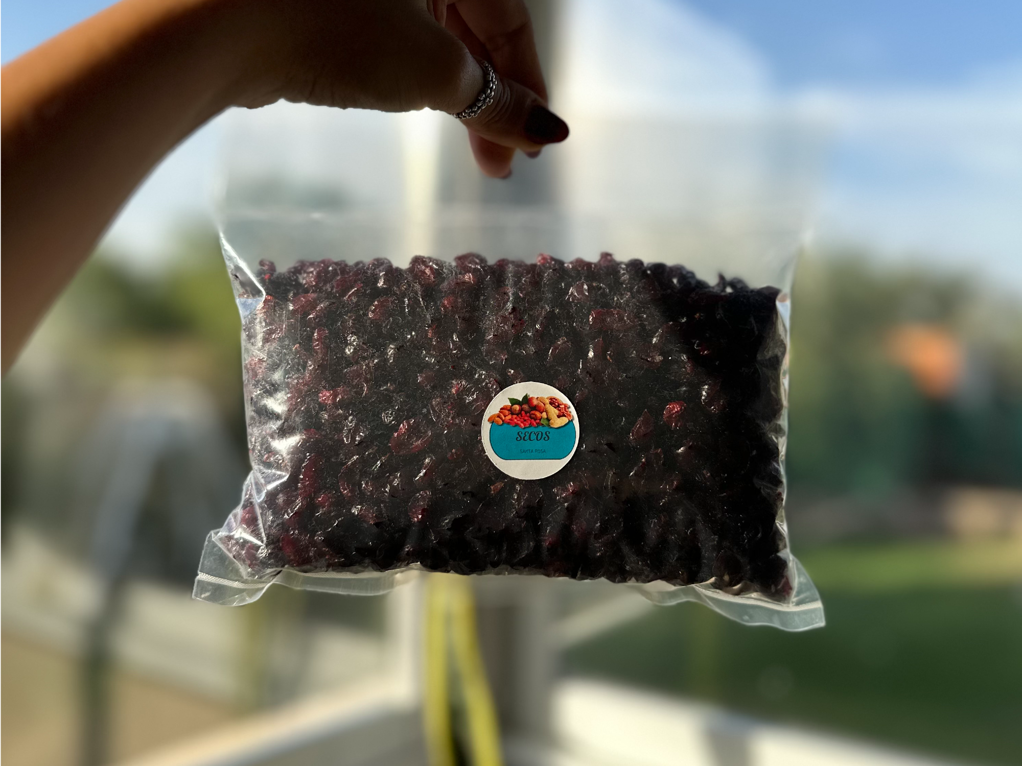 ARANDANOS DESHIDRATADOS