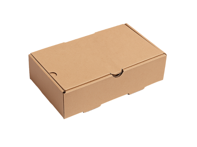 CAJA LOMO MICROCORRUGADA X 100U