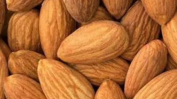 FRUTOS SECOS