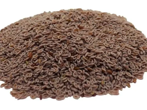 semillas de psylium