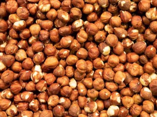 Avellanas