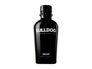 Bulldog