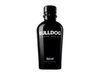 Bulldog
