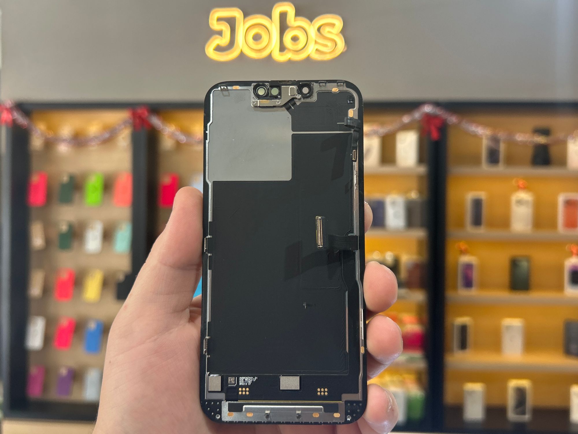 Módulo iPhone 13 Pro