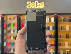 Módulo iPhone 13 Pro Max