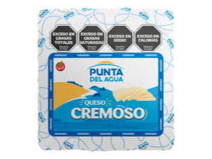 Queso Cremoso Punta de Agua los 100g