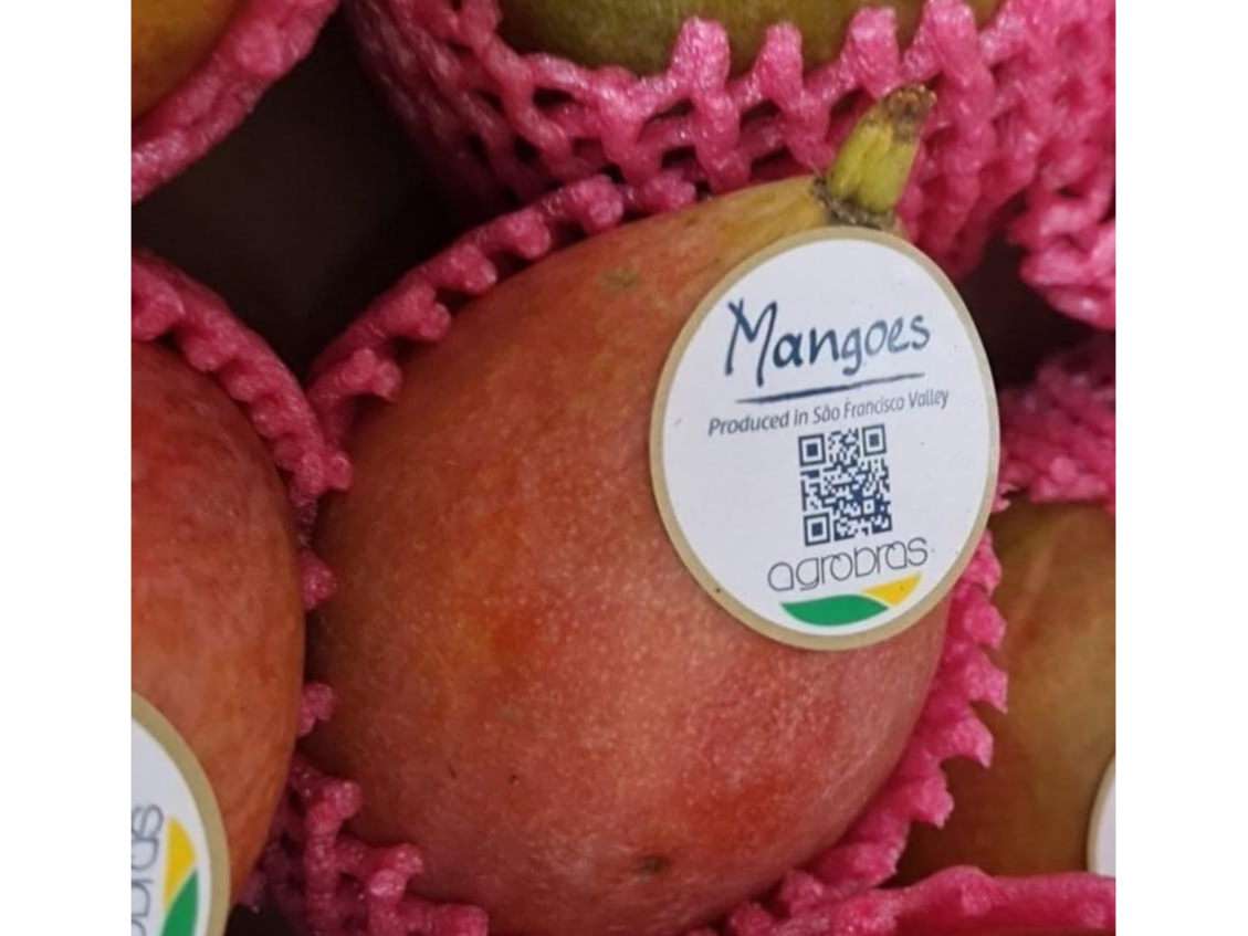 Mango