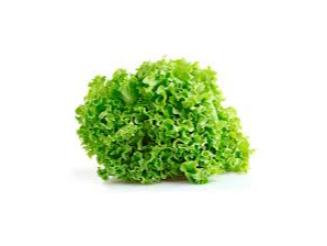 Lechuga Francesa