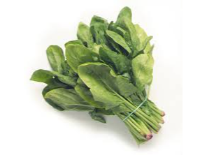 Espinaca