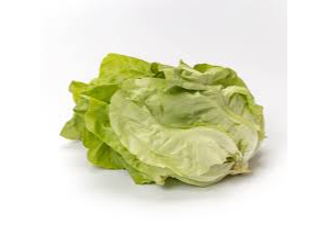 Lechuga Manteca