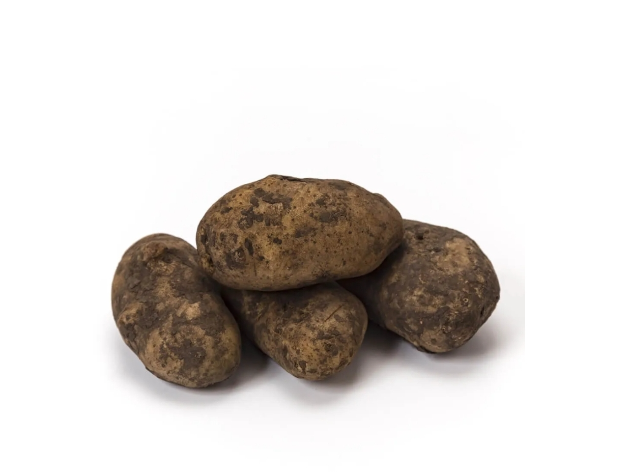 Papa Negra Cepillada