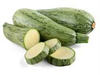 Zucchini