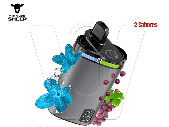 WINTERGREEN/GRAPE 20.000 CALADAS