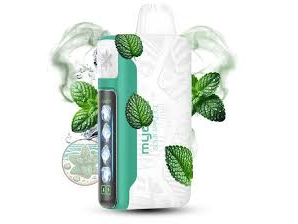 MIAMI MINT 40000 CALADAS