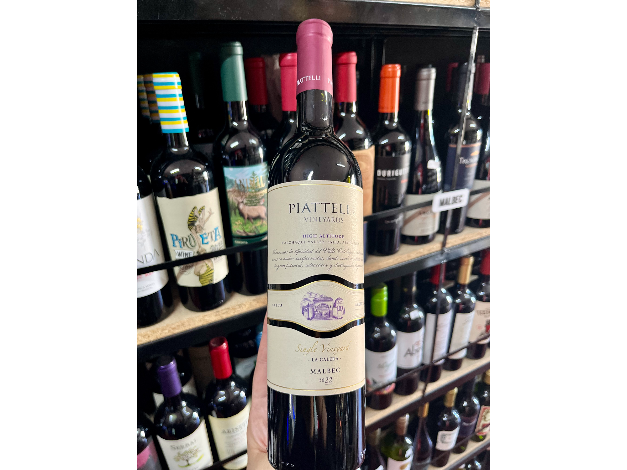PIATTELLI SINGLE VINEYARD MALBEC SALTA, CAFAYATE