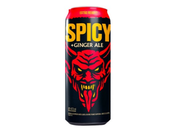 DR. LEMON Spicy+Ginger 473ml