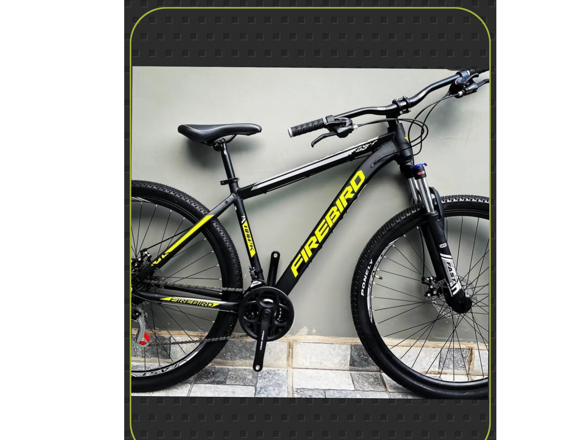 Bicicleta FIRE