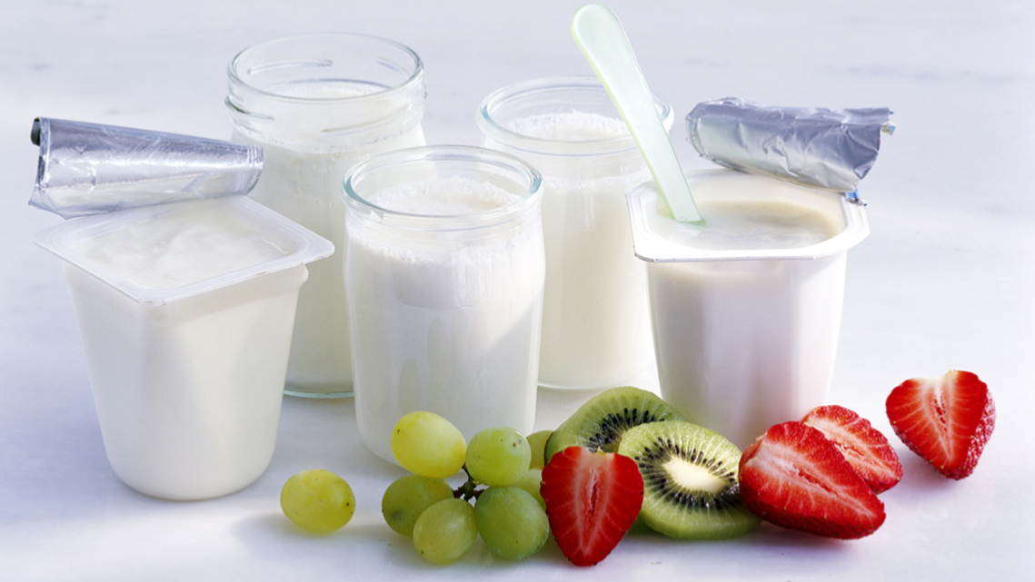 YOGURT NATURAL y GRIEGO