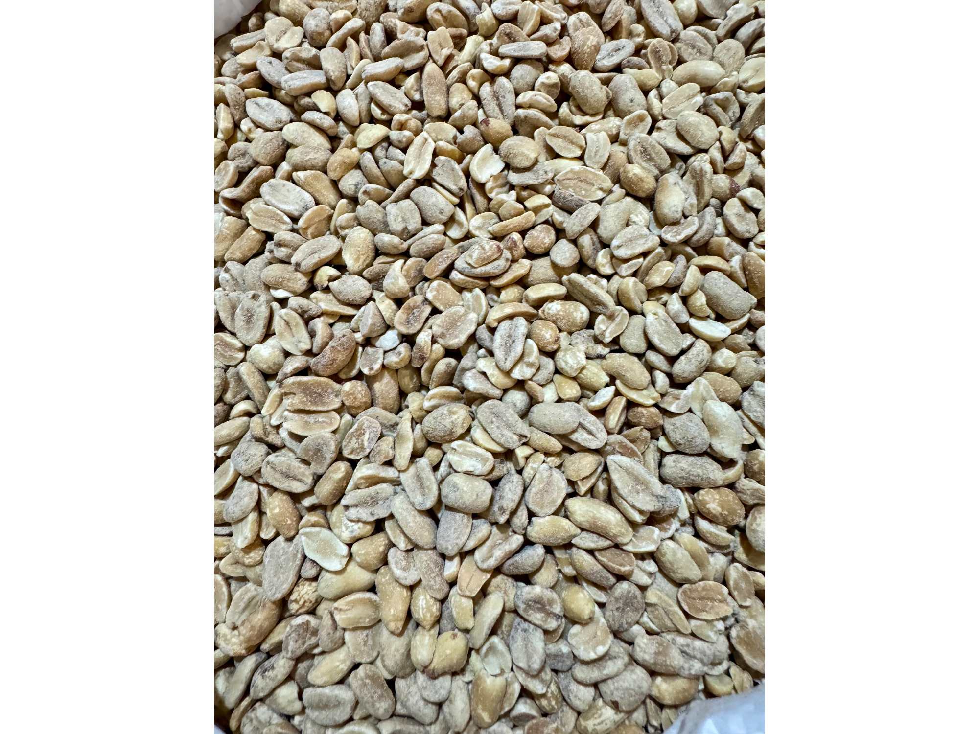 Maní pelado SIN sal