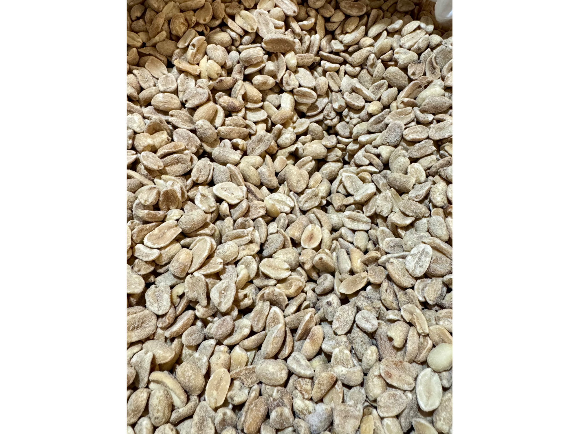 Maní pelado CON sal