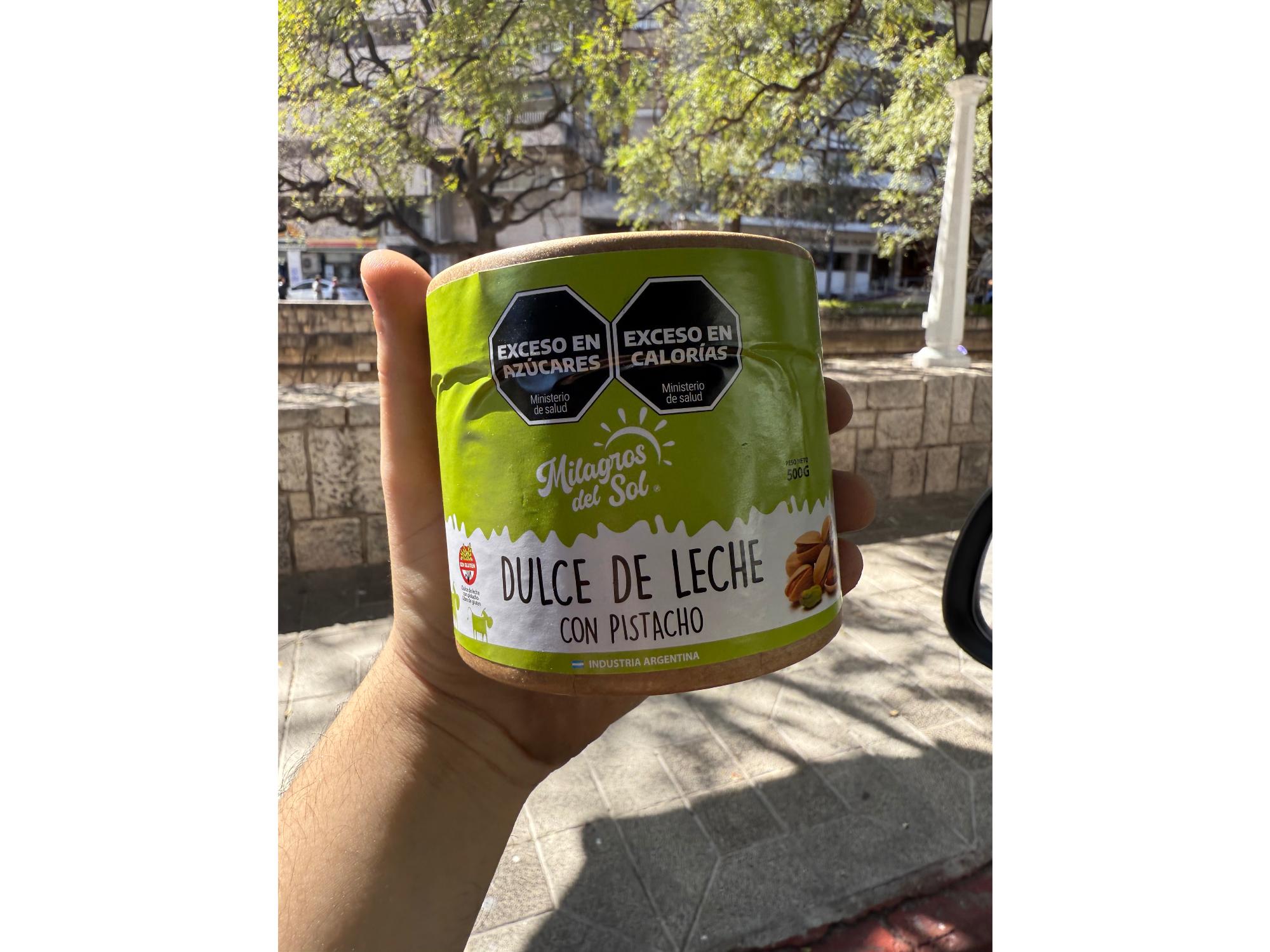 Dulce de leche con Pistacho x 500gr