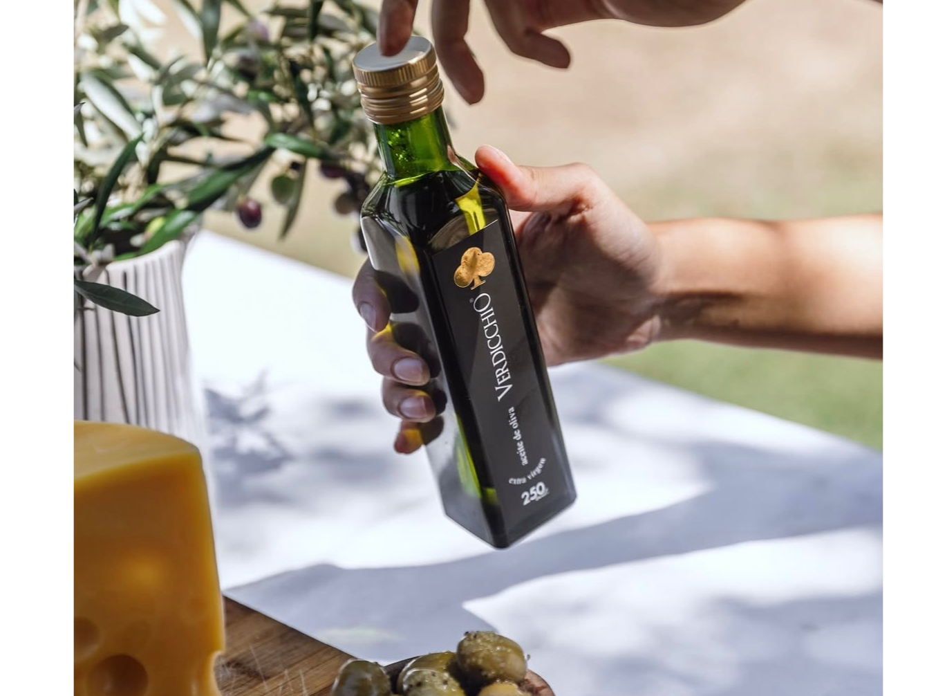 Verdicchio Oliva Extra virgen
